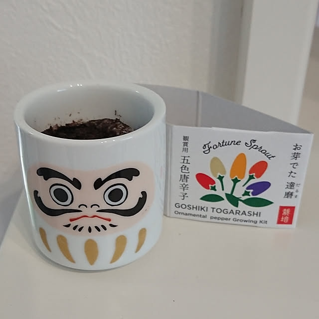 totoroさんの実例写真