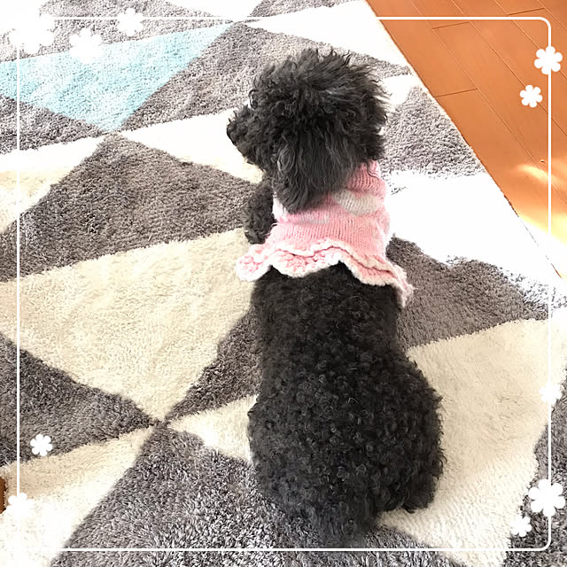 makkoさんの実例写真