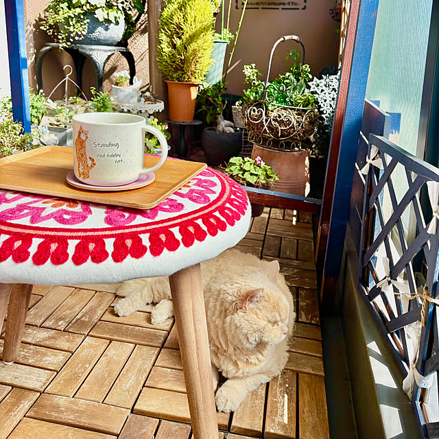 naokoさんの部屋