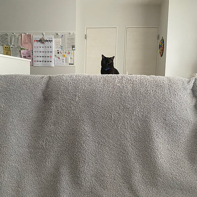 okapiさんの部屋