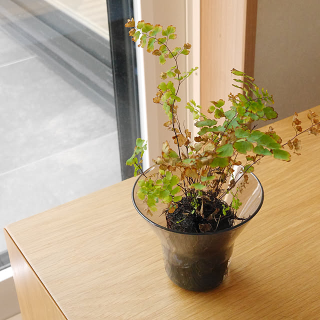 umiohouseさんの部屋