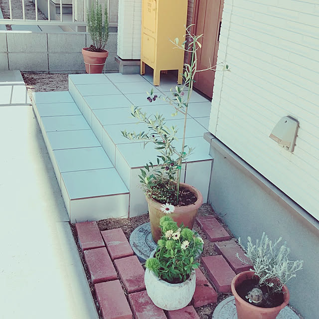 cotapiさんの実例写真