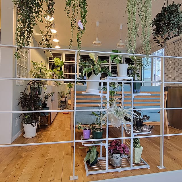 nonbiri_house_さんの部屋