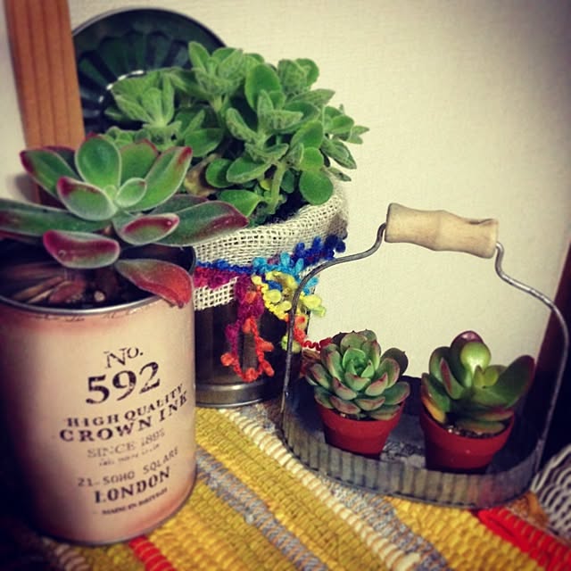 irie38さんの実例写真