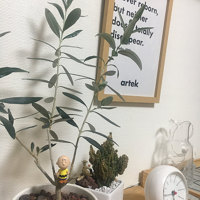 masccotさんの実例写真