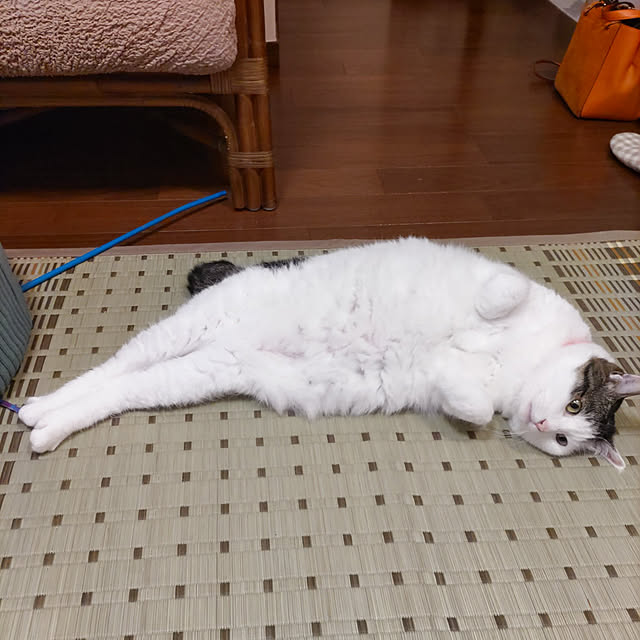 yuuさんの実例写真
