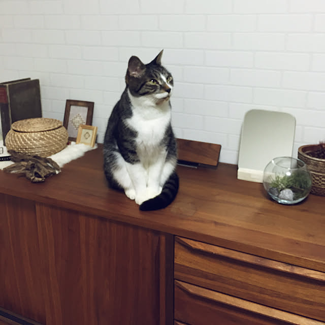 Boboさんの実例写真