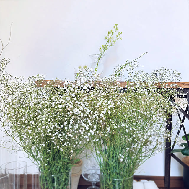 oa.mさんの実例写真