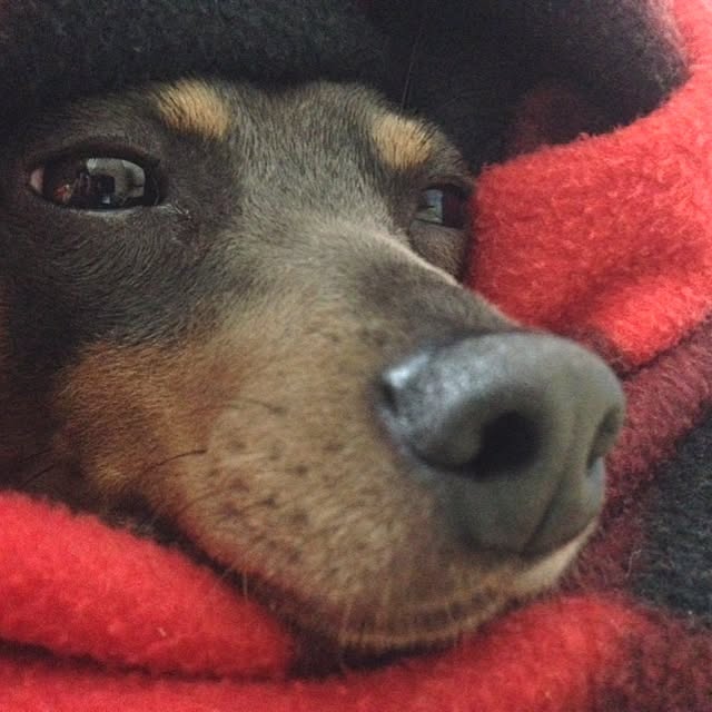 mikioさんの実例写真