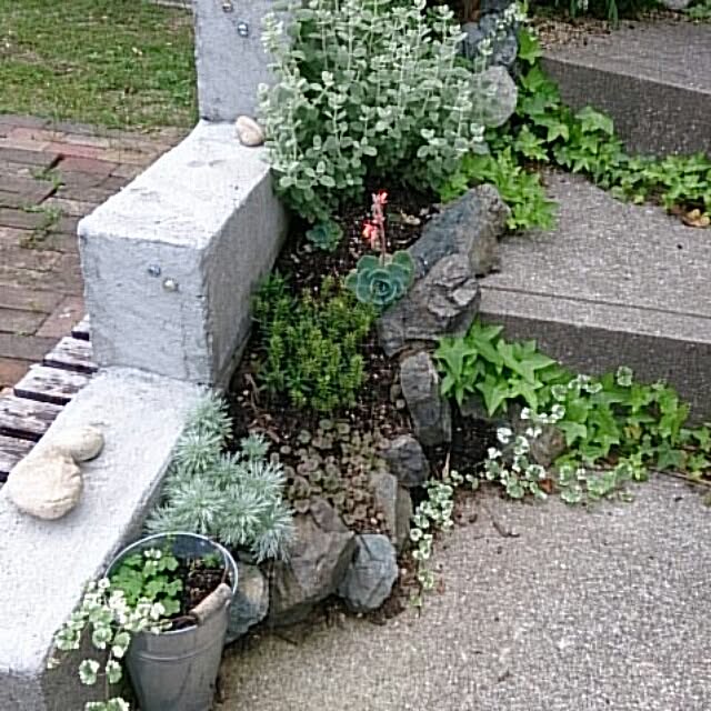 実例写真