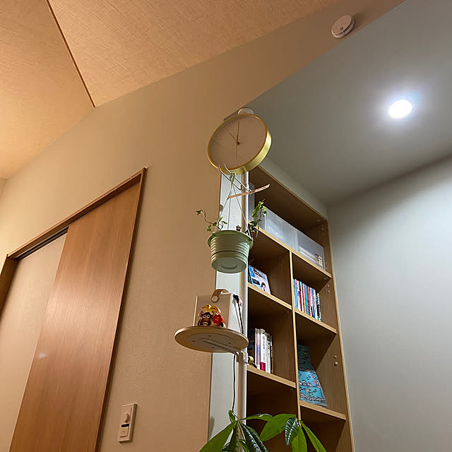 観葉植物のある部屋/観葉植物のある暮らし/勾配天井/DRAW A LINE/プロジェクターのある部屋...などのインテリア実例 - 2023-05-17 23:17:12