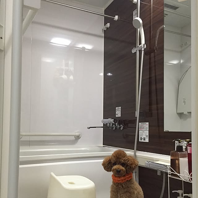 Naomiさんの実例写真