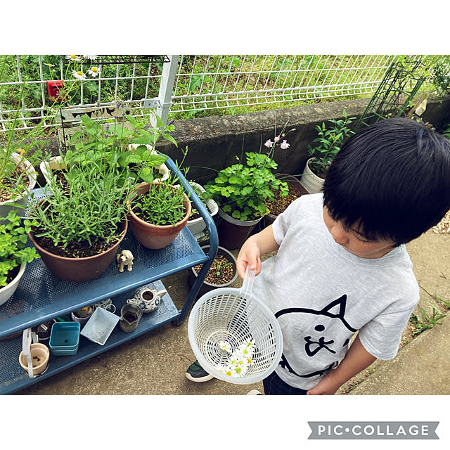 CoCo0617さんの部屋