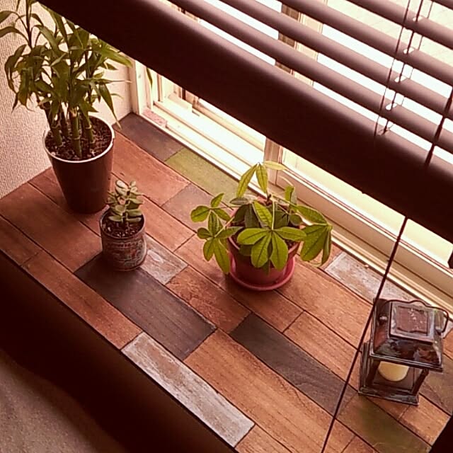migiueさんの実例写真