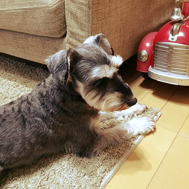 naoさんの実例写真