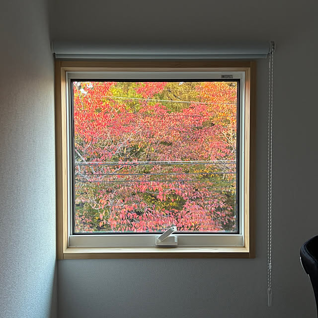 namiさんの実例写真