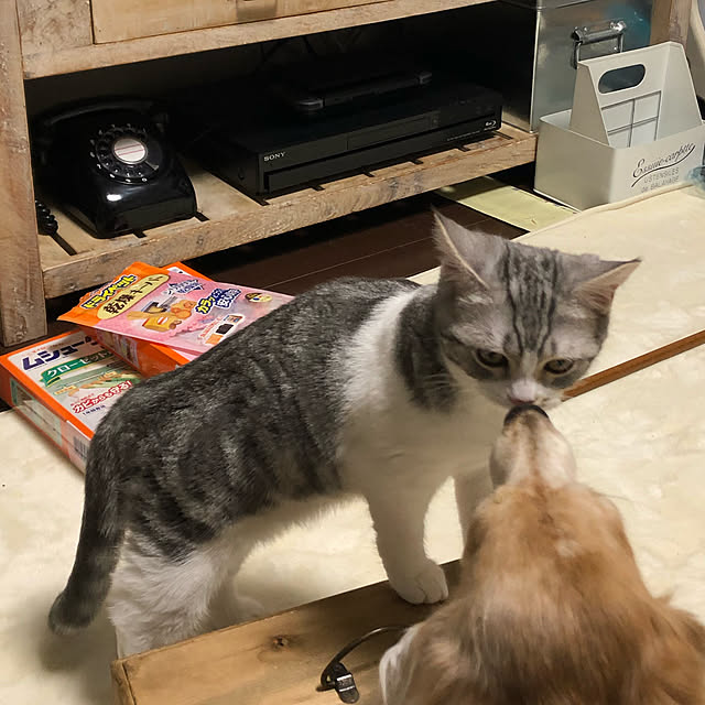Atelier.mさんの実例写真