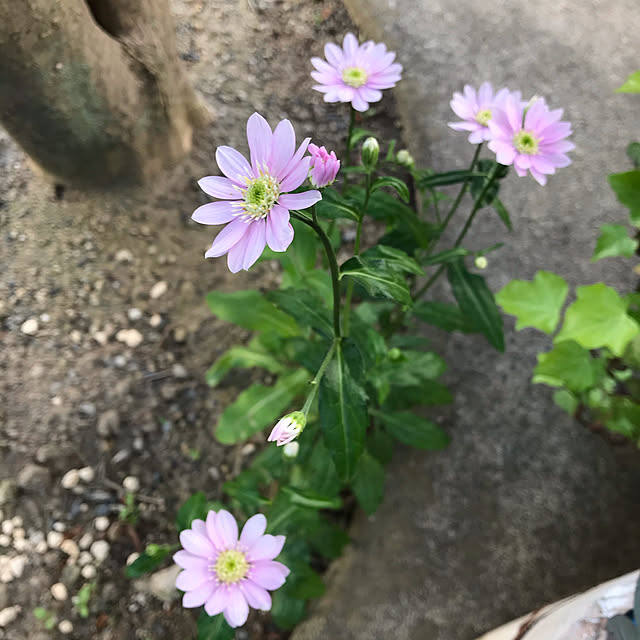 tellmeさんの実例写真