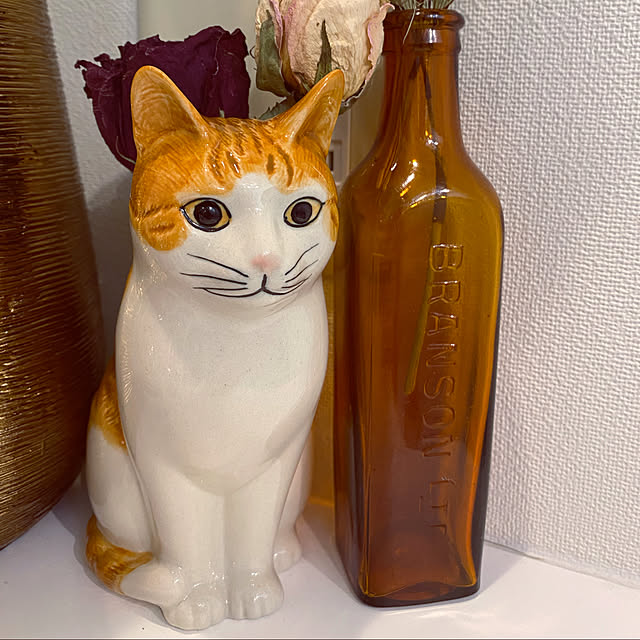 necoさんの実例写真
