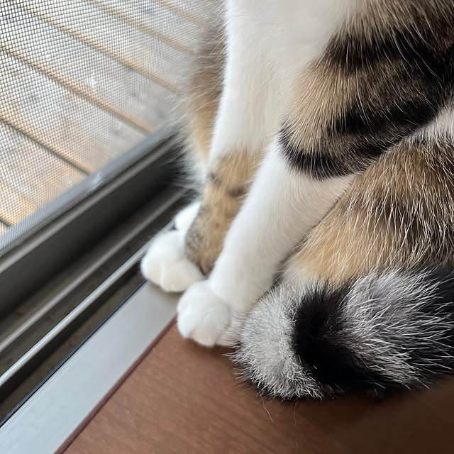 nacchi4さんの部屋
