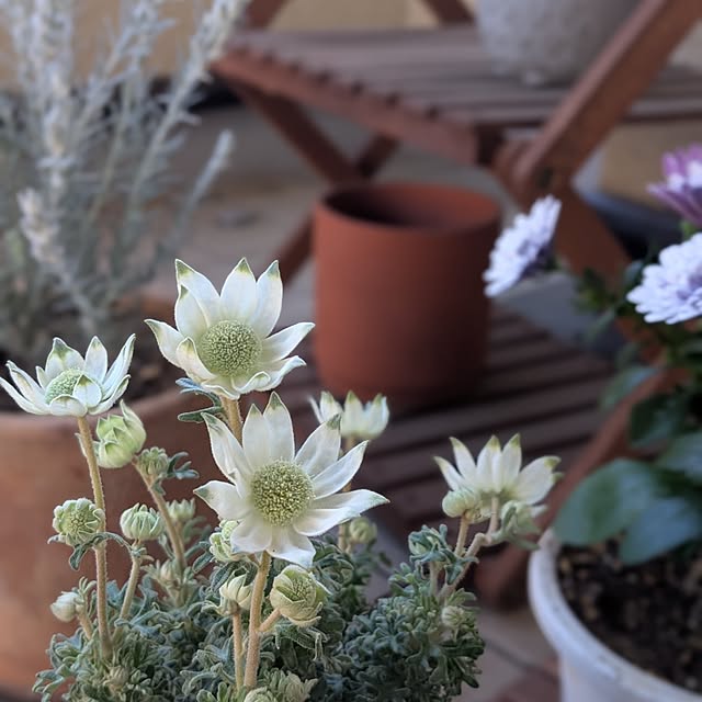 reeさんの実例写真