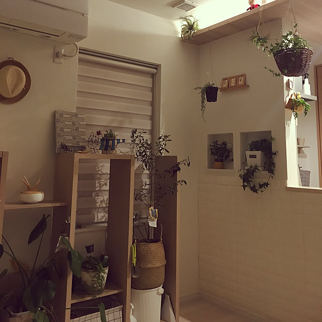megu.catさんの実例写真