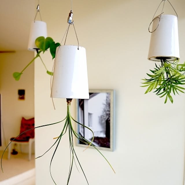 Design papa Ka-tuさんの実例写真