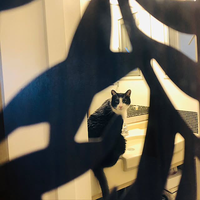 komachi55Nさんの実例写真