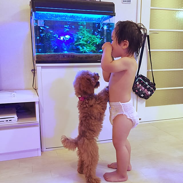 shiiichanさんの実例写真