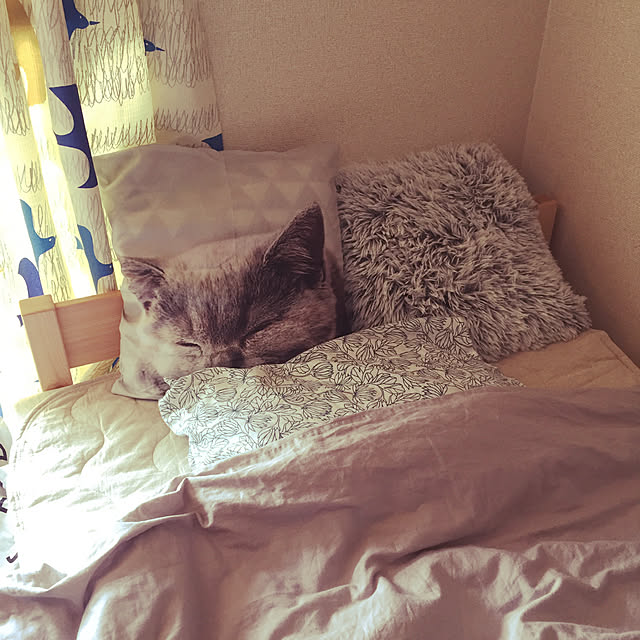 charさんの実例写真