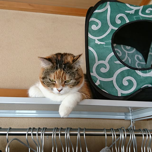 yukieさんの実例写真