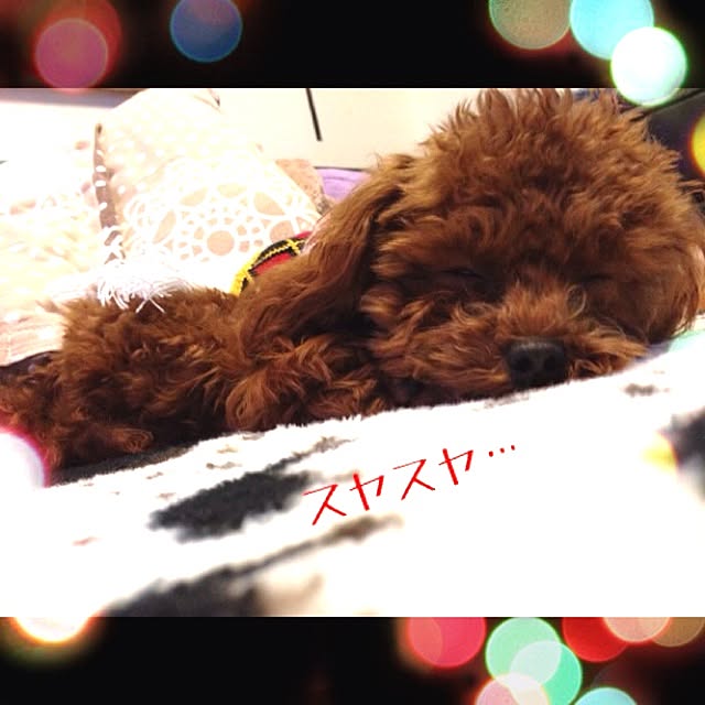 cocoさんの実例写真