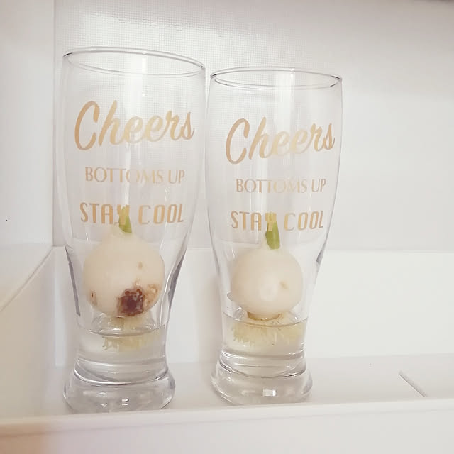キッチン/100均/花のある暮らし/ダイソー/水耕栽培...などのインテリア実例 - 2020-12-28 15:57:15