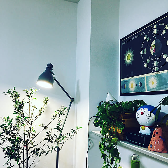 asachanさんの実例写真