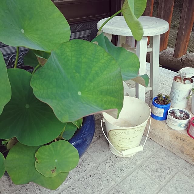 monblanさんの実例写真