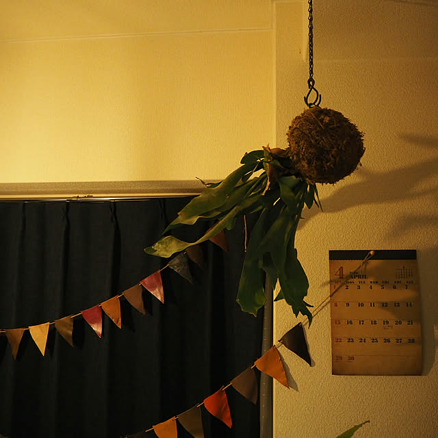 rrikiyさんの実例写真