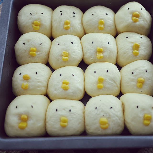 実例写真