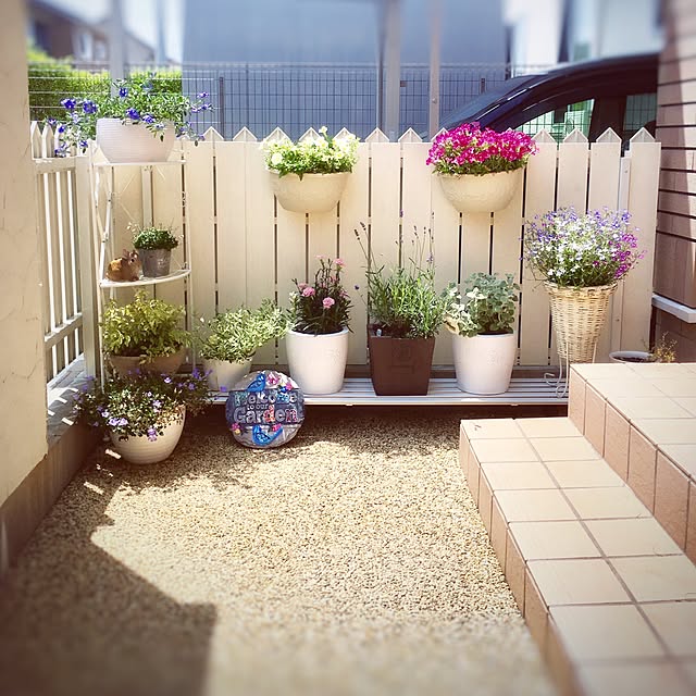 Michiさんの実例写真