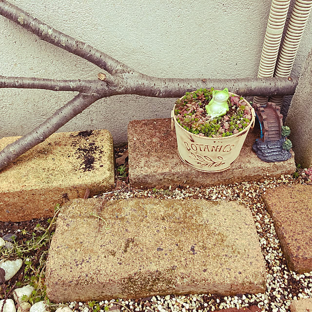 pekoさんの実例写真