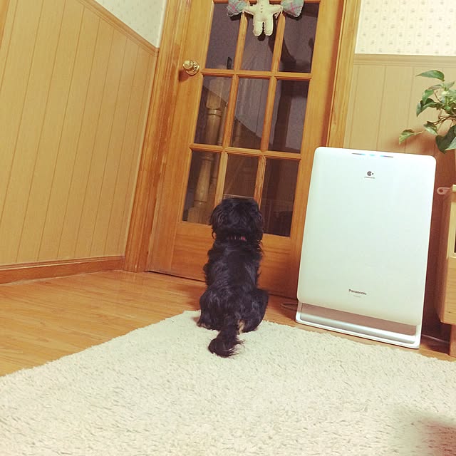 namoさんの実例写真