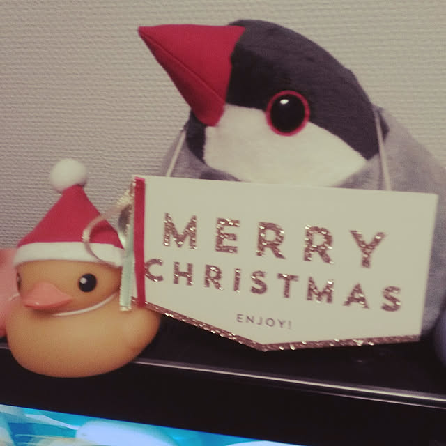 sora20000930さんの実例写真