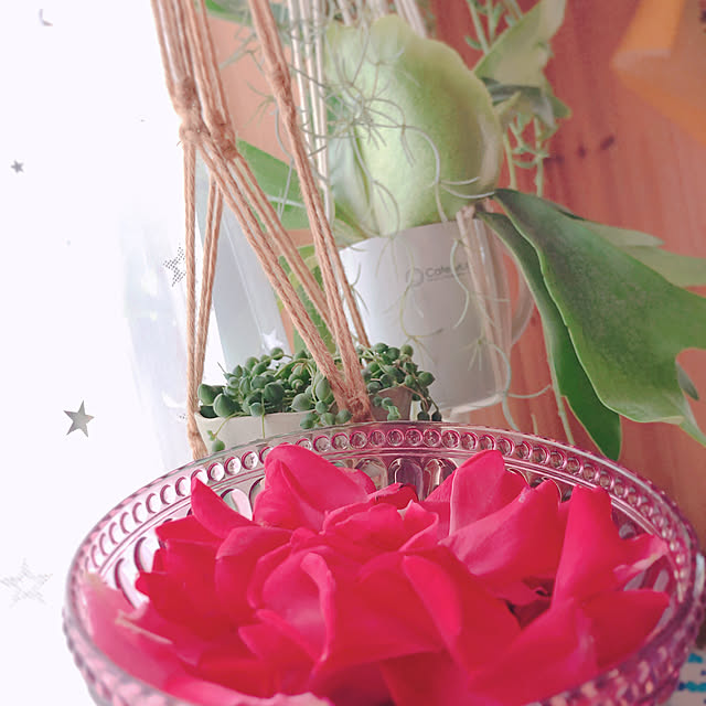 MASAさんの実例写真