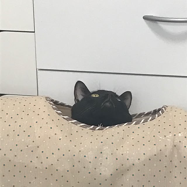 jasmine03さんの実例写真