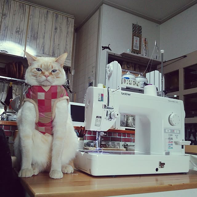 mntcさんの実例写真