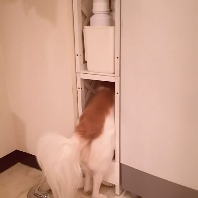 nonさんの実例写真