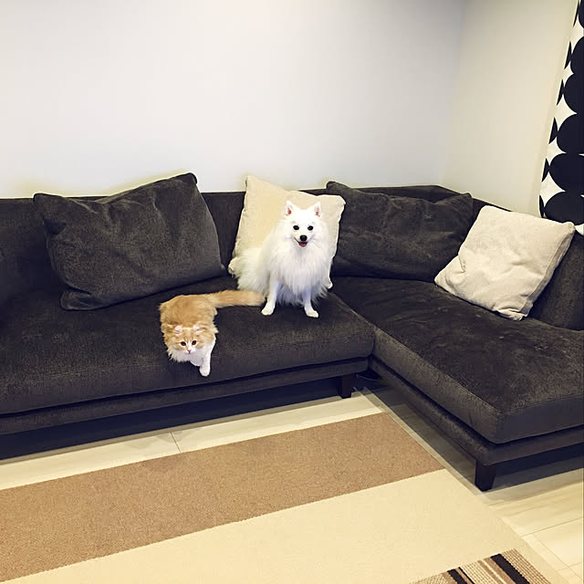 mariさんの実例写真