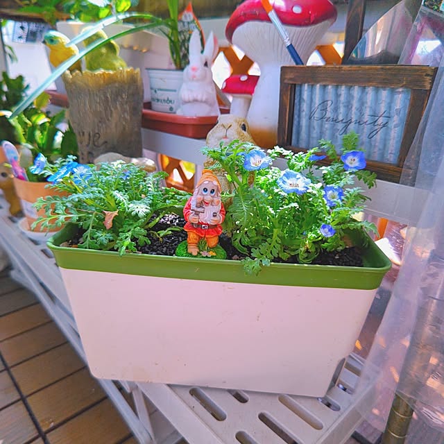 mariaさんの部屋