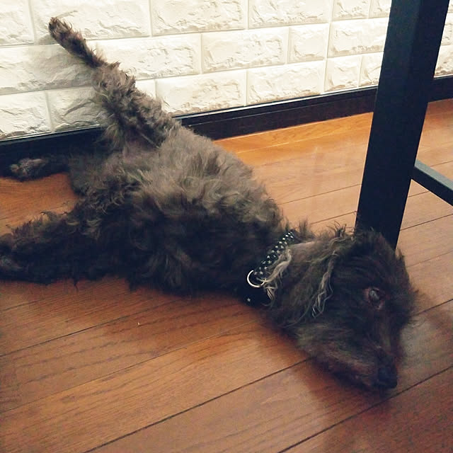 mimi828さんの実例写真