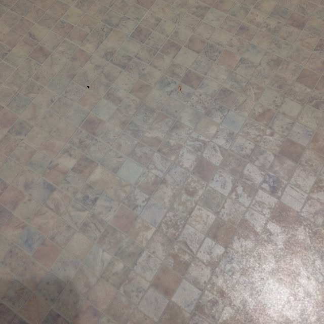 壁/天井のインテリア実例 - 2015-05-28 08:18:40