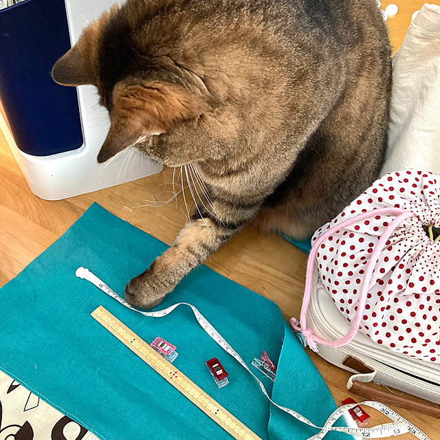 kirinsanさんの部屋